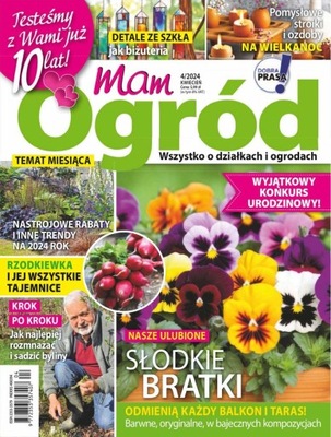 4/2024 MAM OGRÓD RZODKIEWKA ASTER CHIŃSKI FOLIA