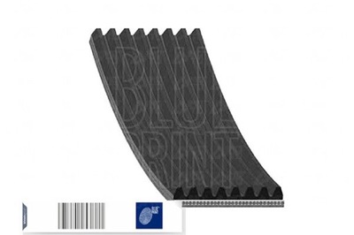 Blue Print PASEK WIELOROWKOWY (8PK1355) BLUE PRINT