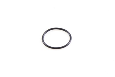 O-RING 160076030000