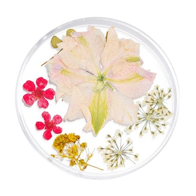 Suszone kwiaty do paznokci 3D Urocze prawdziwe kwiaty Płatki Liście 12