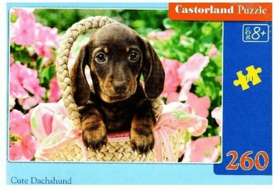 Puzzle 260 Cute Dachshund Castorland B-27514