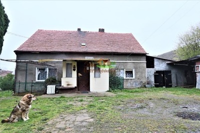 Dom, Gaworzyce, Gaworzyce (gm.), 120 m²