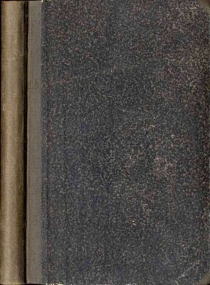 Rautenstrauchowa, W Alpach i za Alpami. T. 1 1850