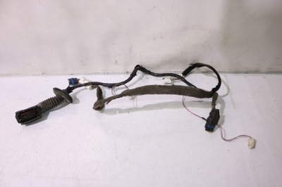 Джгут двері правий задня renault megane ii grandtour фото №1