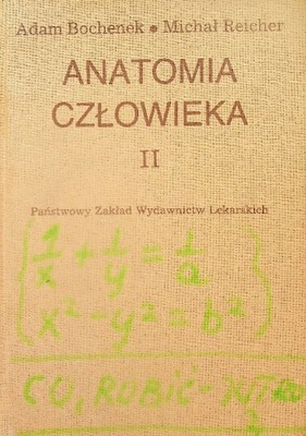 Anatomia człowieka Tom II