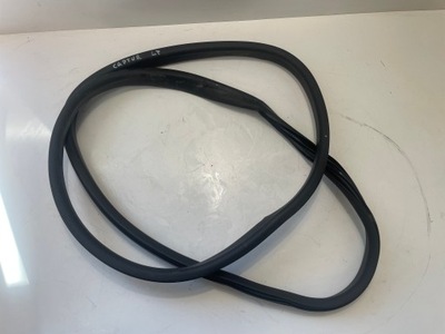 Прокладка дверь левый задняя renault captur фото №1