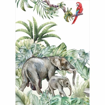 Plakat dla dzieci 50x70 shining słonie PS094