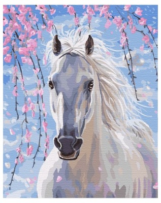 Malowanie Po Numerach Zestaw Biały Koń 40x50