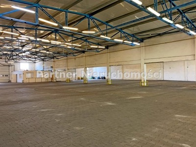 Magazyny i hale, Toruń, 3520 m²