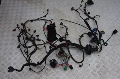 Электропроводка жгут отсек двигателя renault scenic grand scenic iv 241148160r фото №1