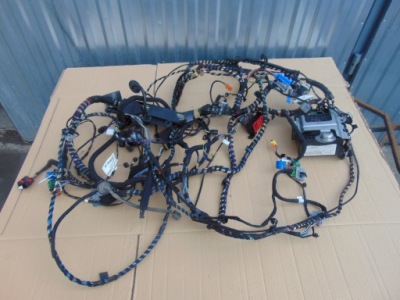 Джгут салону кабіни ford b-max 1.0 ecoboost європа фото №1