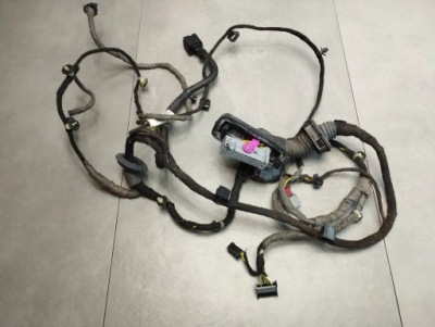 Opel insignia a жгут дверь правая перед 39001305 фото №1