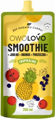 OWOLOVO Smoothie Jabłko Ananas Porzeczka 250ml