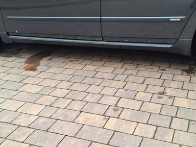 Seat exeo молдинг накладка поріг поріг ліва lw7z фото №1