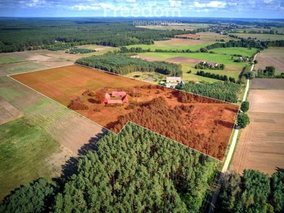 Dom, Jędrzejewo, Czarnków (gm.), 300 m²