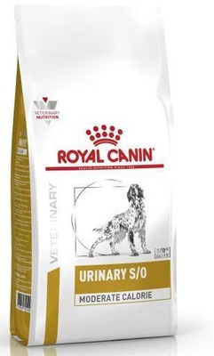 ROYAL CANIN sucha karma dla dorosłych psów 12kg