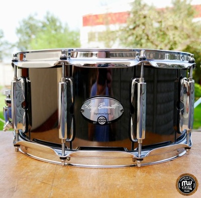 Werbel Dixon Gregg Bissonette Signature 14'' x 6,5''