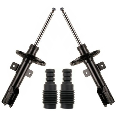 Амортизаторы перед защита do clio iii modus фото №1