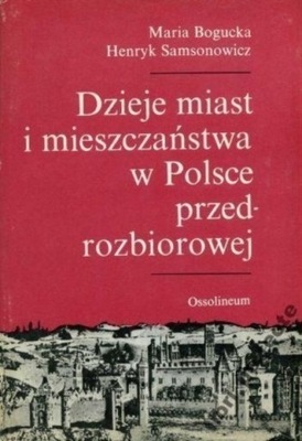 Dzieje miast i mieszczaństwa w Polsce