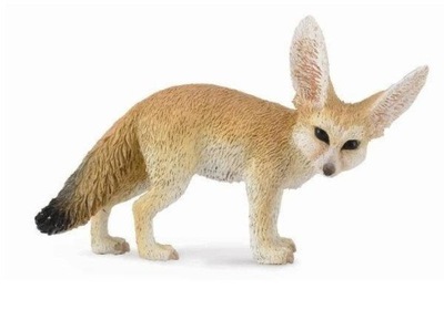 Collecta. Fenek