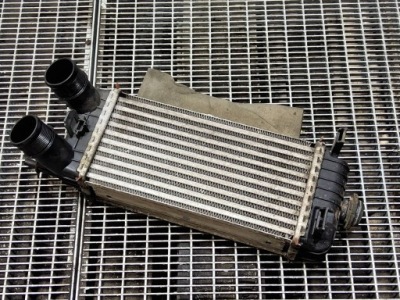 Інтеркулер ford turneo courier mt766k775ba фото №1