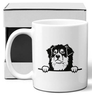 OWCZAREK AUSTRALIJSKI aussie australian shephert