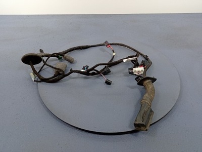 Skoda octavia iv джгут двері лівий задня 5e3971693t фото №1