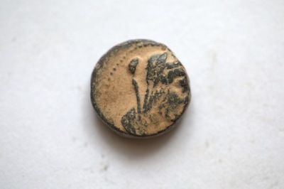 Rzym moneta do identyfikacji 2