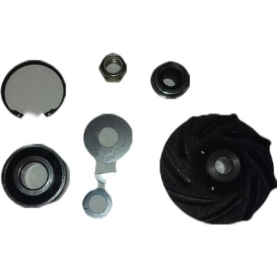 Набор ремонтный насоса wody renault magnum major r фото №1