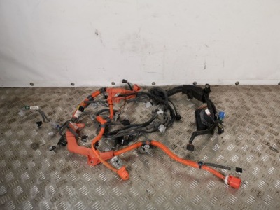 2016 lexus nx джгут двигуна 821278050 фото №1