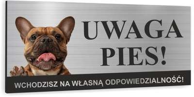 Tabliczka UWAGA ZŁY PIES - BULDOG FRANCUSKI uv