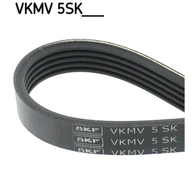 CORREA DE CUÑA MULTICOSTAL SKF VKMV 5SK716  