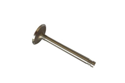 Клапан впускний vika 11091793201 фото №1