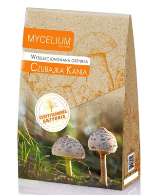 CZUBAJKA KANIA grzyby w ogrodzie Mycelium