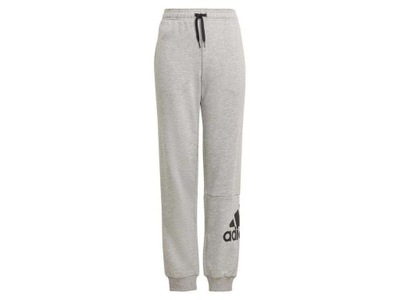 Spodnie dziecięce ADIDAS B BL FT C PT GN4016