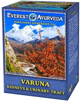 Herbatka ajurwedyjska VARUNA nerki drogi moczowe
