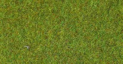 Mata - trawa jasna zieleń, Heki 30901 makieta