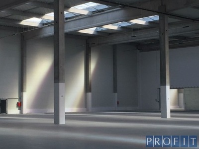 Magazyny i hale, Tychy, 1000 m²