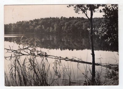 Wisełka k Wolin - Jezioro Czajcze - FOTO ok1960