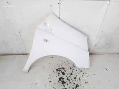 Peugeot expert ii крыло правый перед фото №1