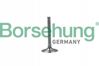 Клапан всмоктуючий borsehung do audi a5 3.0 s5 фото №1