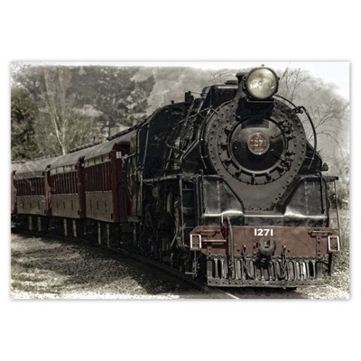 Baner 100x70 Pociąg Lokomotywa