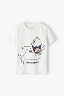 Dzianinowy t-shirt chłopięcy z rekinem