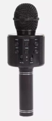 MIKROFON KARAOKE MICROPHONE