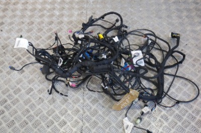 Електропроводка консолі комплектна ferrari 488 1 2 фото №1