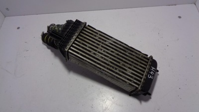 Jumpy expert інтеркулер x4672002 1440084580 фото №1