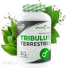 Suplement Tribulus terrestris kapsułki 6PAK Nutrition naturalny 90 kaps