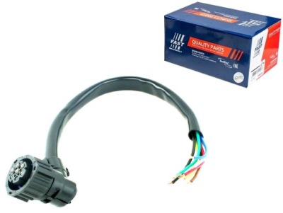 Джгут лампи fiat ducato 06 лівий задня fast фото №1