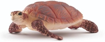 Żółw szylkretowy