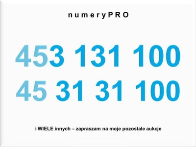 453 131 100 prosty złoty numer SIM starter NJU ORANGE